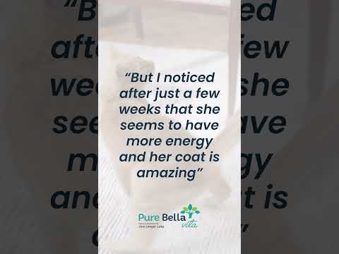 C60 for Pets - Damaris and her cat, Lola