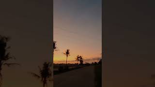 Download lagu Kadang Kami Naik Babi, Kadang Naik Kuyamg mp3 Download lagu Kadang Kami Naik Babi, Kadang Naik Kuyamg mp3