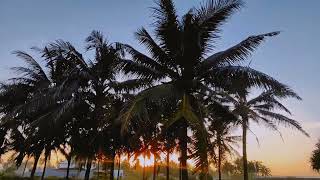 Download lagu Cinematic Pagi Hari 30 Detik |  Story wa Aesthetic | Nature Image Video mp3