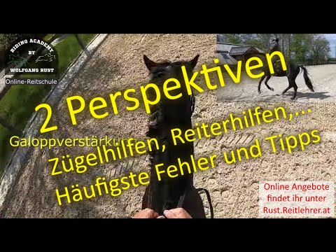 F103 Reiterperspektive Zügeleinwirkung am Pferd, Reiterhilfen, Verstärkungen, Übergänge Reiterfehler