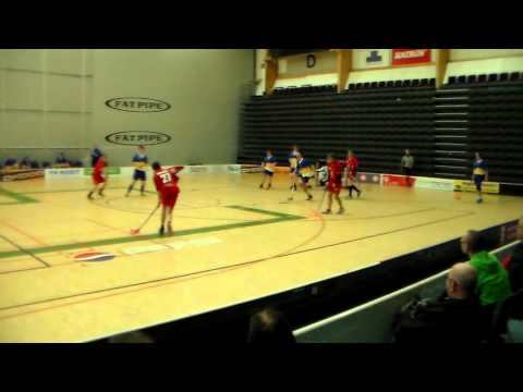 30.1.2016  Tampere  RSS Panthers Red - YPA  13 - 4