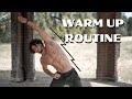 WARM UP ROUTINE BEFORE WORKOUT | Quick and Effective | Rowan Row
