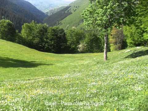 Idajet - Pana rosa na livada