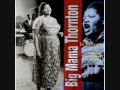 BIG MAMA THORNTON W/ BUDDY GUY - YOUR LOVE IS WHERE IS OUGHT TO BE - LIVE 1965