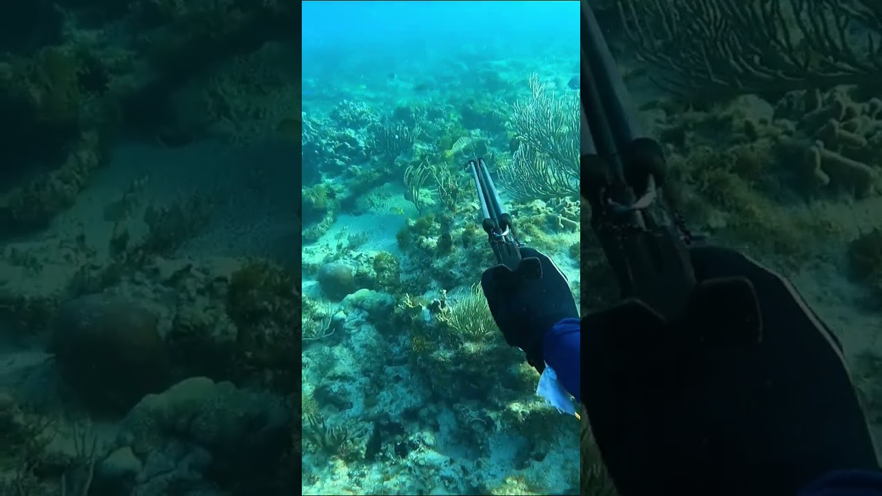 Test apple watch ultra en chasse sous marine #shorts #applewatchultra #chassesousmarine