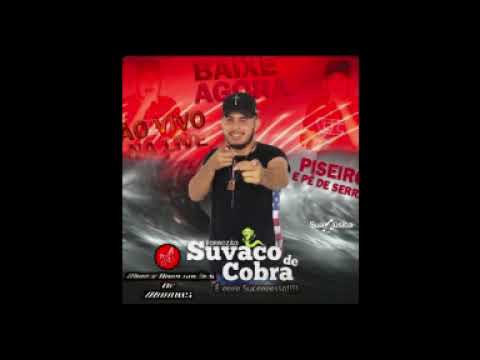 Suvaco De Cobra Ao Vivo Na Live CD Piseiro E Pé De Serra 2021