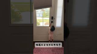 お外行きたい病#1歳3ヶ月 #アメリカ生活 #海外在住ママ