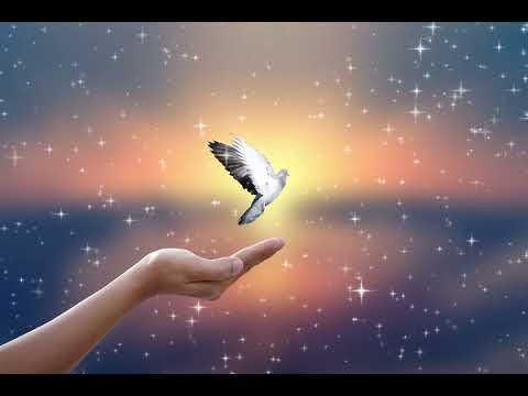 Frieden für die Welt