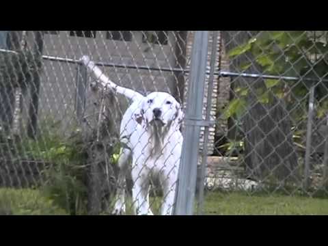 STEP 4 CHANGE TX WEEKEND 2016