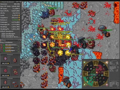 Tibia Hunt WZ 8,  RP 911, Profit 4.7 kk/hr (Wealth Duplex, Charm pot & loot preys), Legolaf