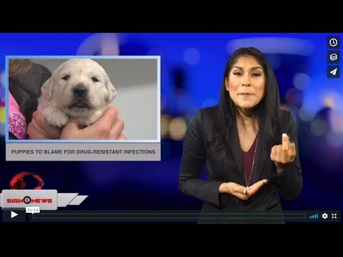Puppies to blame for drug-resistant infections (ASL - 9.25.18)