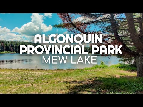 Algonquin Mew Lake Campground Review | Visiting and Camping at Algonquin Provincial Park