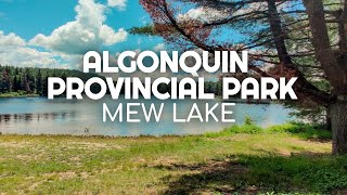 Algonquin Mew Lake Campground Review | Visiting and Camping at Algonquin Provincial Park