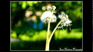 A Year With My Camera (Best Bits So Far)