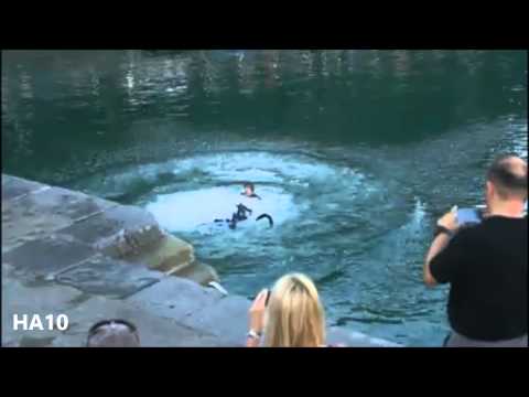 Salto de Martxel Arribillaga al agua