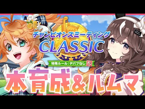 ダービー本育成！ウマ娘の生配信でブーケゲットなるか！？