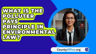 What Is The Polluter Pays Principle In Environmental Law? - CountyOffice.org