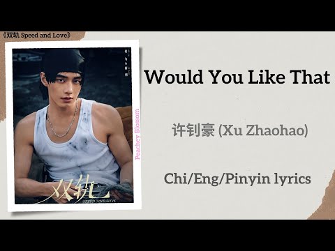 Would You Like That  - 许钊豪 (Xu Zhaohao)《双轨 Speed and Love》Lyrics
