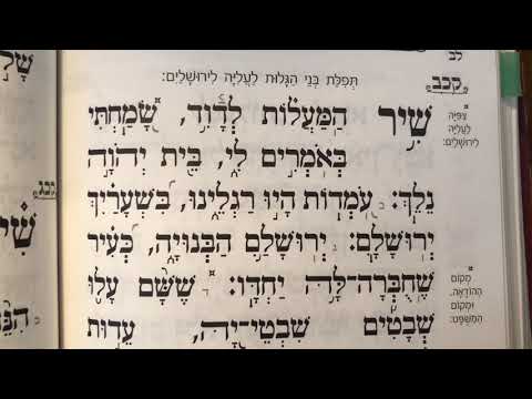 Tehillim psalm 122