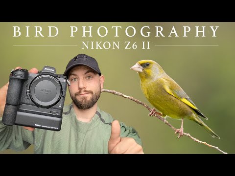 Bird Photography with the Nikon Z6 II - Irish Wildlife Photography