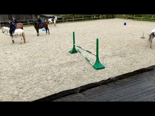 Cavali&egrave;re, groom, assistance administrative