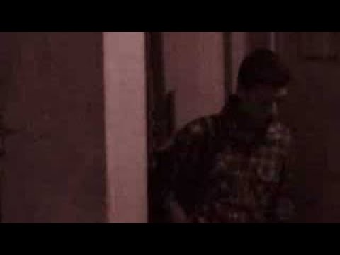 THE VAMPIRES HUNTERS (cacciatori di vampiri)