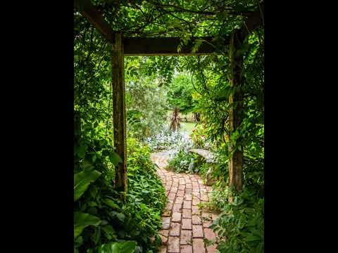 Gigi - The Garden - Misc Originals