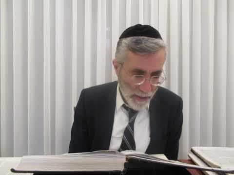 הרב יהושע ביבי - תשפ"ו - פסח - שיעור מס' 049 - המשך היכלות ערבית דלי''פ להלכה
