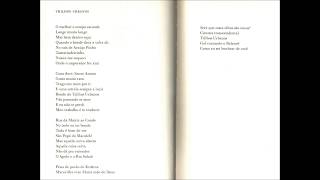 Caetano Veloso | Sobre as Letras | Trilhos Urbanos