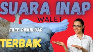 Download lagu SUARA INAP WALET  TERBAIK | 👍| FREE DOWNLOAD | SUARA INAP TERBAIK 2023 | Part 1 mp3