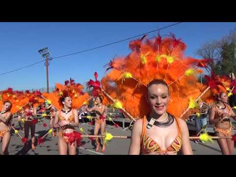 Charanguinha ( Ovar ) @ Carnaval de Ovar 2020 | Desfile Domingo | Zona Bancadas