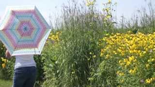 "Colors" by Kira Willey [Unofficial music video]