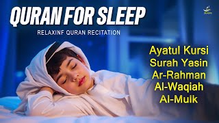 Relaxing Quran For Sleep And Your All Problems Solve | By Alaa Aqel |  Relaxing - Holy Quran
