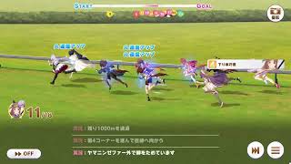 第九十六回デイリー凱旋門賞　2025/11/05 晴 良バ場