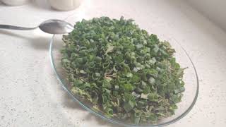 İlkbaharda Dağ Kekiği (zahter) Salatası Nasıl Yapılır? Taze İzmir Keki