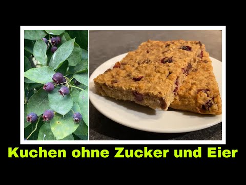 Früchtekuchen ohne Zucker, Ei und Hefe | Rezept für veganen Kuchen | Selbstversorgung: Felsenbirnen