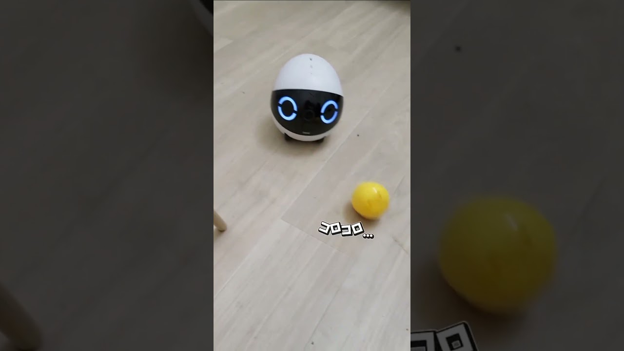 見守りロボットでサッカーしてみた⚽️#ペットカメラ #見守りカメラのある暮らし #見守りカメラ #ロボットカメラ #お喋りロボット #rolamini #enabot  #whatthepet