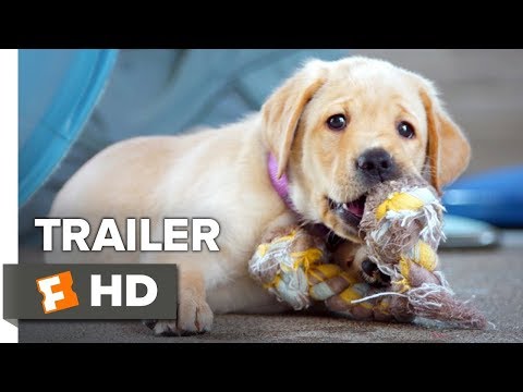 Pick of the Litter Trailer #1 (2018) Trailers Spotlight