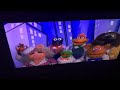 The Muppets Take Manhattan Together Again