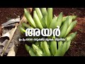 IMPACT OF AYAR കർഷകരുടെ പ്രതികരണം KAU TECHNOLOGY IMPACT EP 01