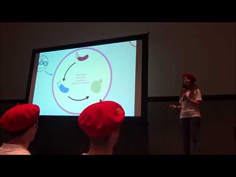 iGEM INSA-UPS France - Project Croc'n Cholera - Giant Jamboree - Boston, 11 Nov. 2017