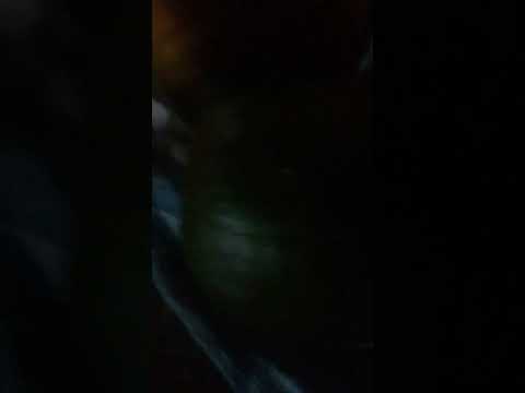 zapallos producido en Cochabamba ,Bolivia , Tiquipaya