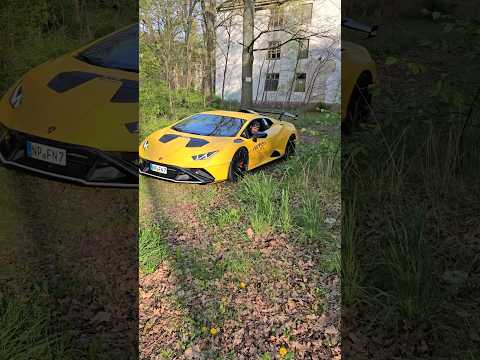 Ich fahre mit dem lambo durch den Wald es geht schief