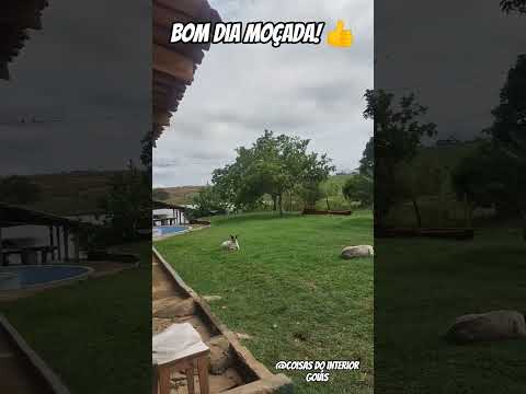 Bom dia Moçada! 👍🙏 ( Município de Moiporá -Goiás )