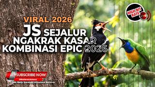 Download lagu 🔴 Tembakan Beset Tajam Cucak Jenggot Materi Mewah Cucak Cungkok Gacor vs Jalak Suren Nembak Sejalur mp3
