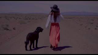 Rose Colored Daggers - New Music by Savanna Woods