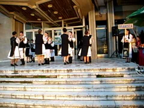 ansamblul muresana din branisca dansuri