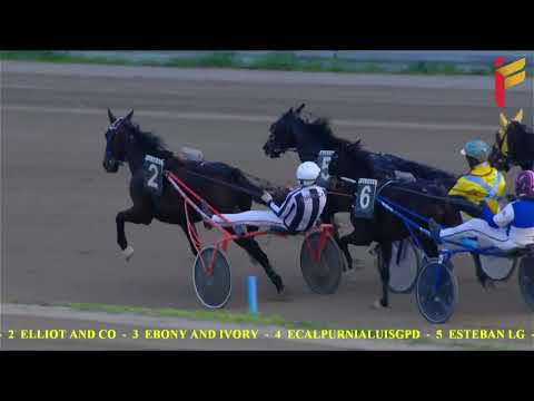 VI corsa del 3 dicembre 2022 - 2 Anni - Metri 1600