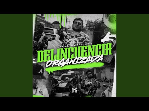 Delincuencia Organizada