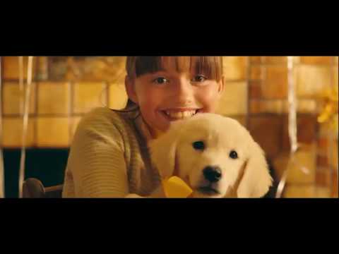 Marshmello ft  Bastille   Happier  (DVJ Ivan Carvalho bootleg)